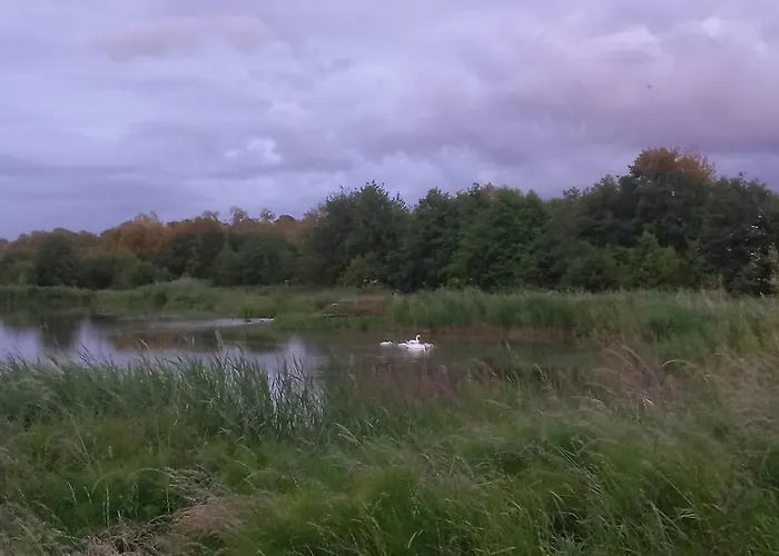 Apartamento Les Embruns Vue Sur La *