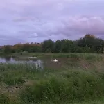 Appartement Les Embruns Vue Sur La *